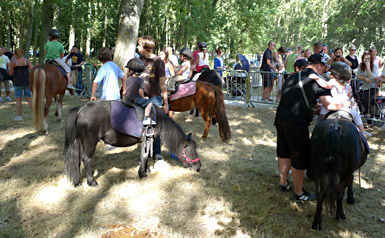 l'enclos des poneys